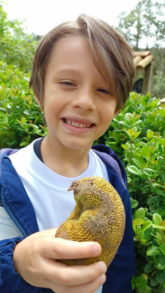 Bicho Mania 2022